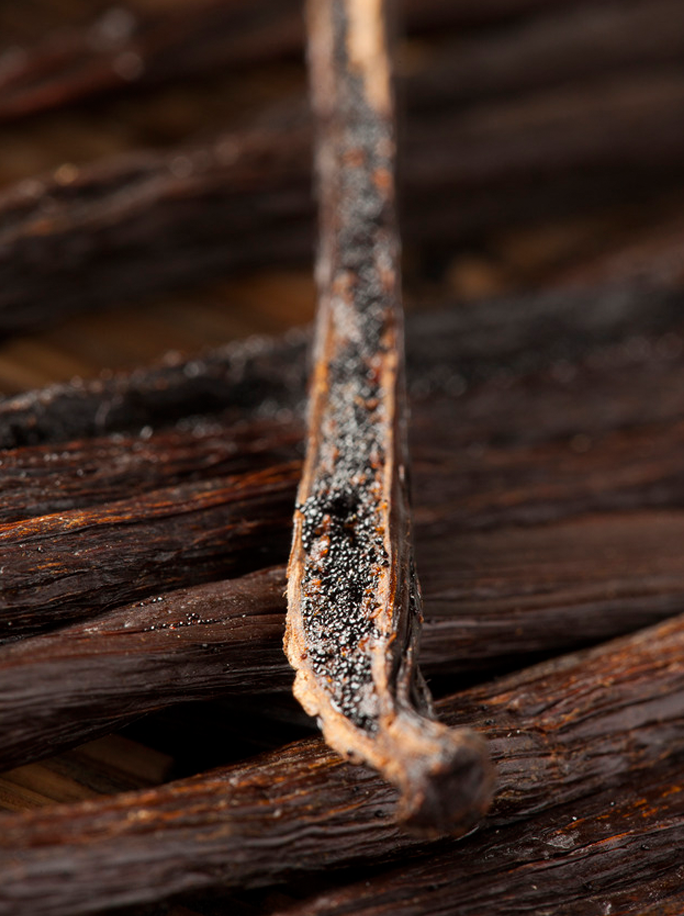 Texas Gun State, T-Shirt, Mason Jar Label, UR Gifts 4 All Seasons