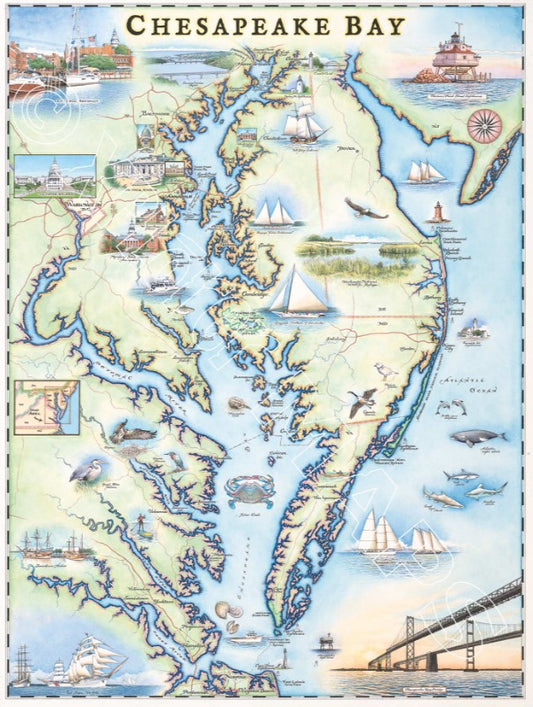 Hand-Drawn Map - Chesapeake Bay